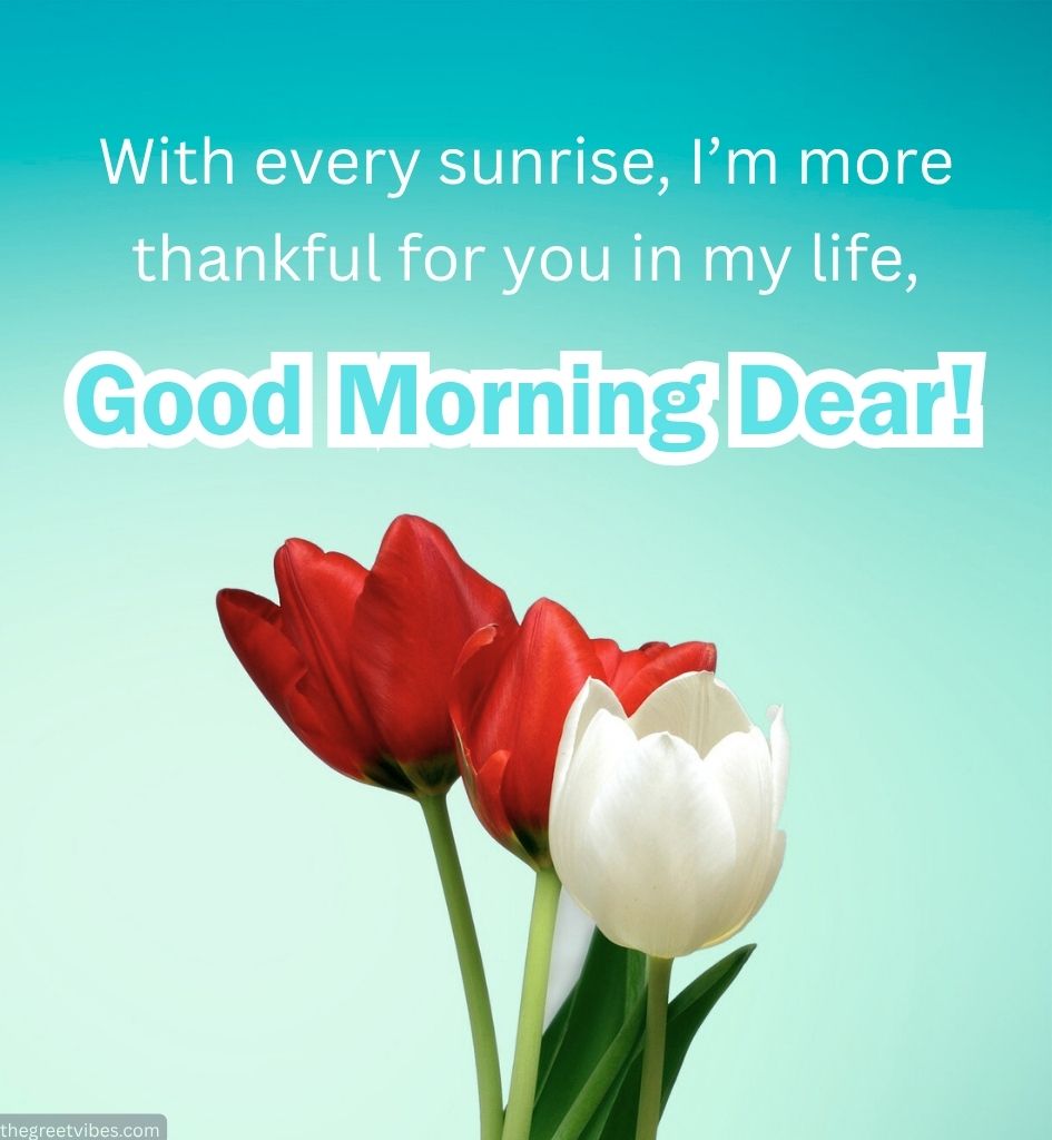 Good Morning Tulip Flower for Dear Wife