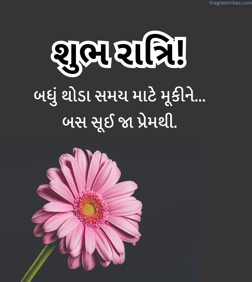 Gujarati Good Night Pics for Status