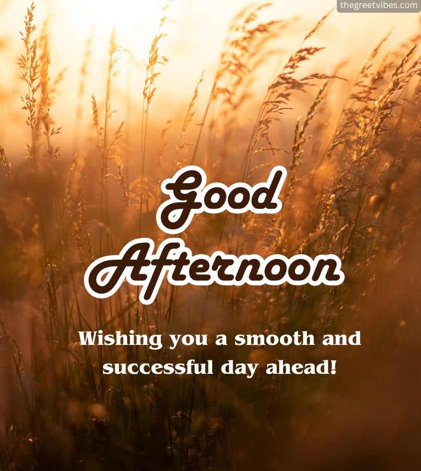 Good Afternoon Greetings for status