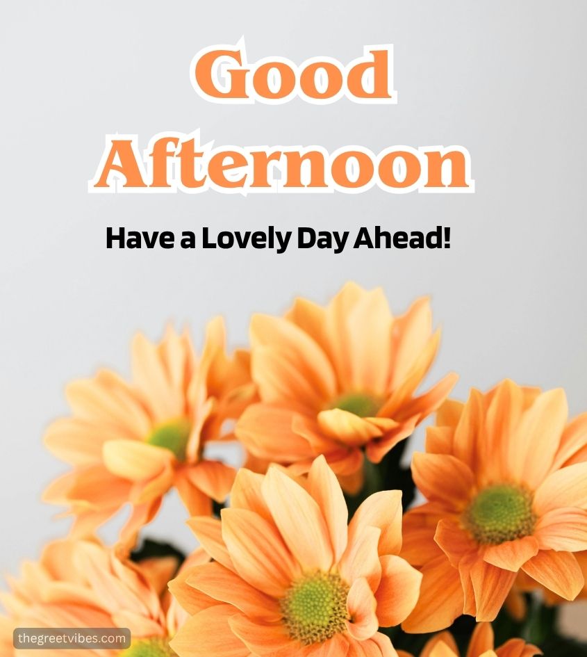 Good Afternoon Greetings Images with flowers