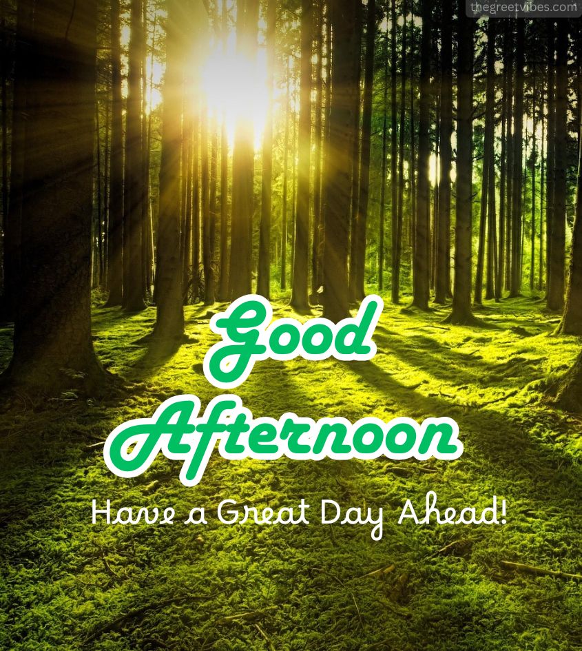 Good afternoon images