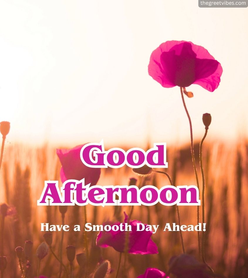 Good afternoon images for greet