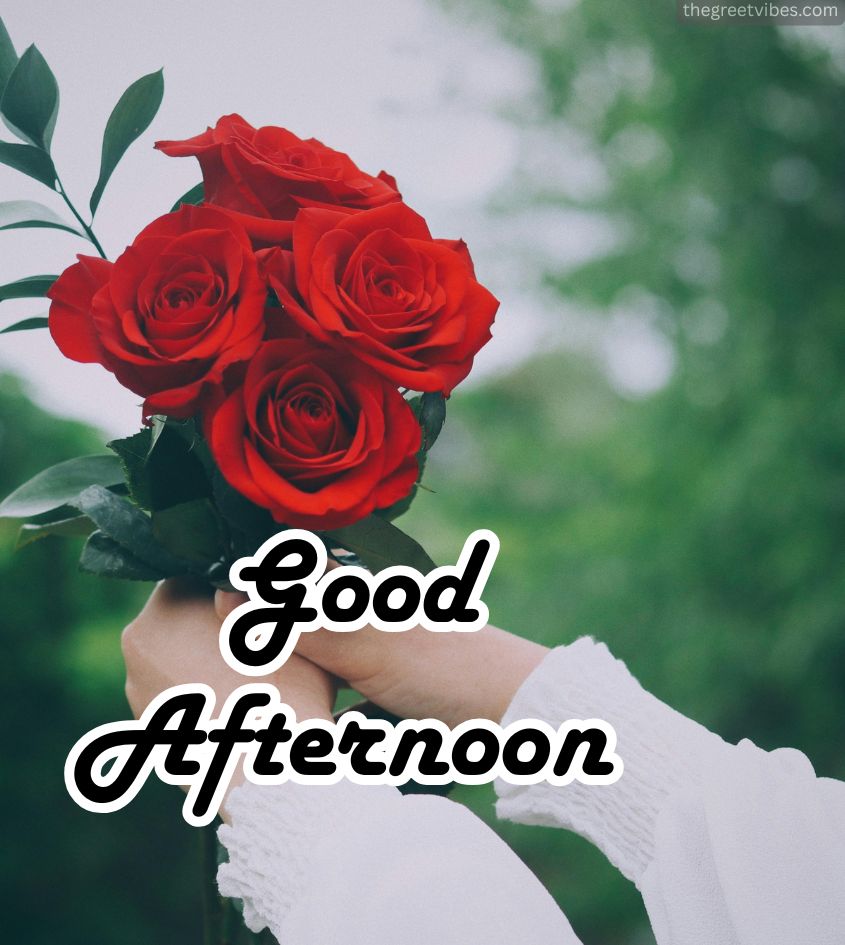 Good Afternoon wishes for him with roses
