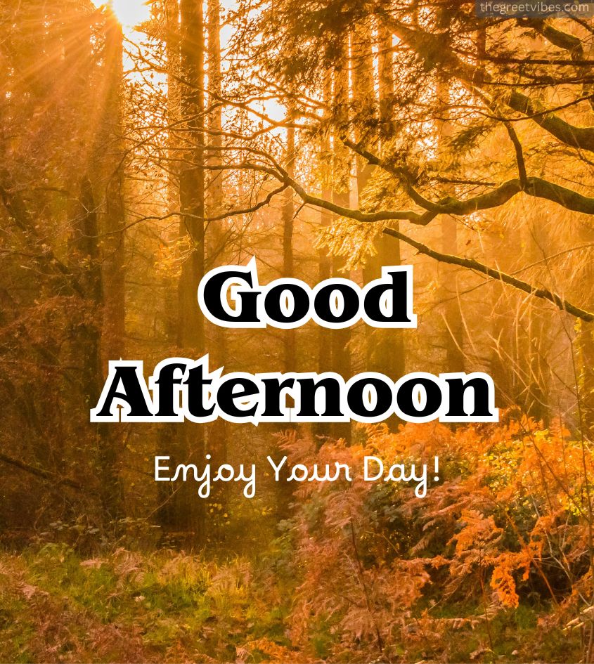 Good afternoon wishes images