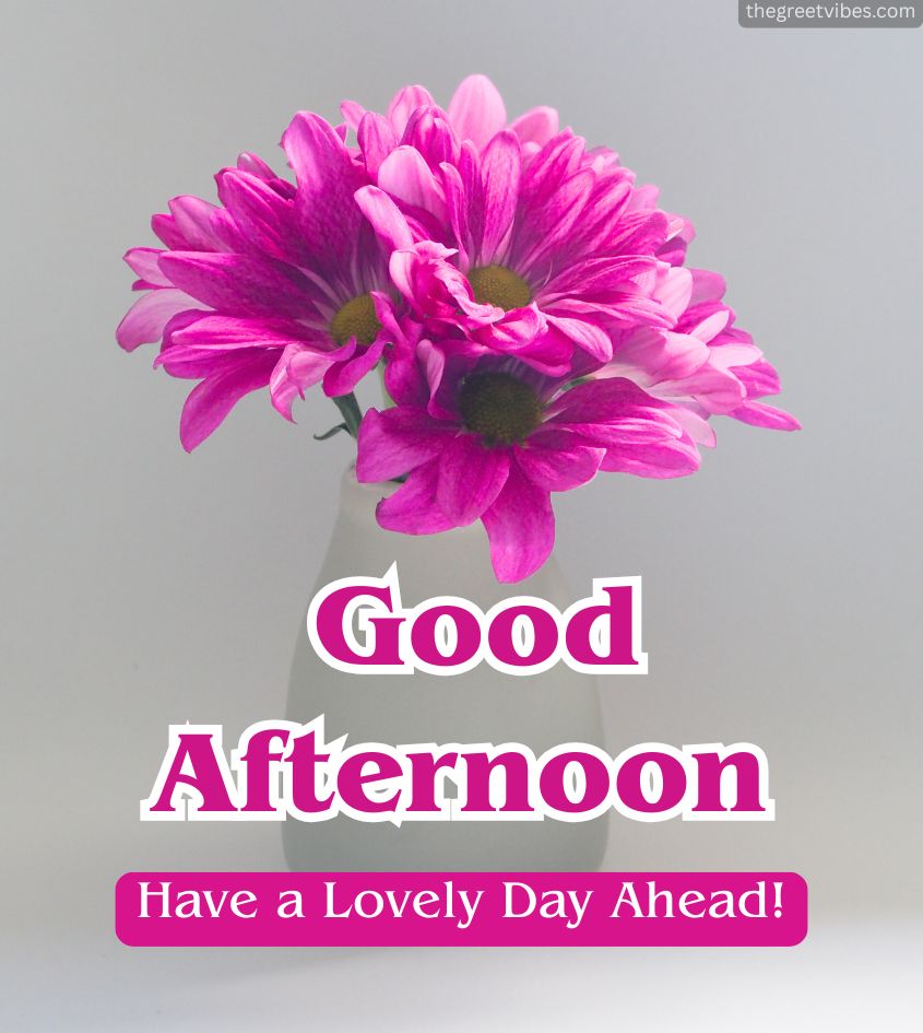 Good Afternoon greetings for her with Flower