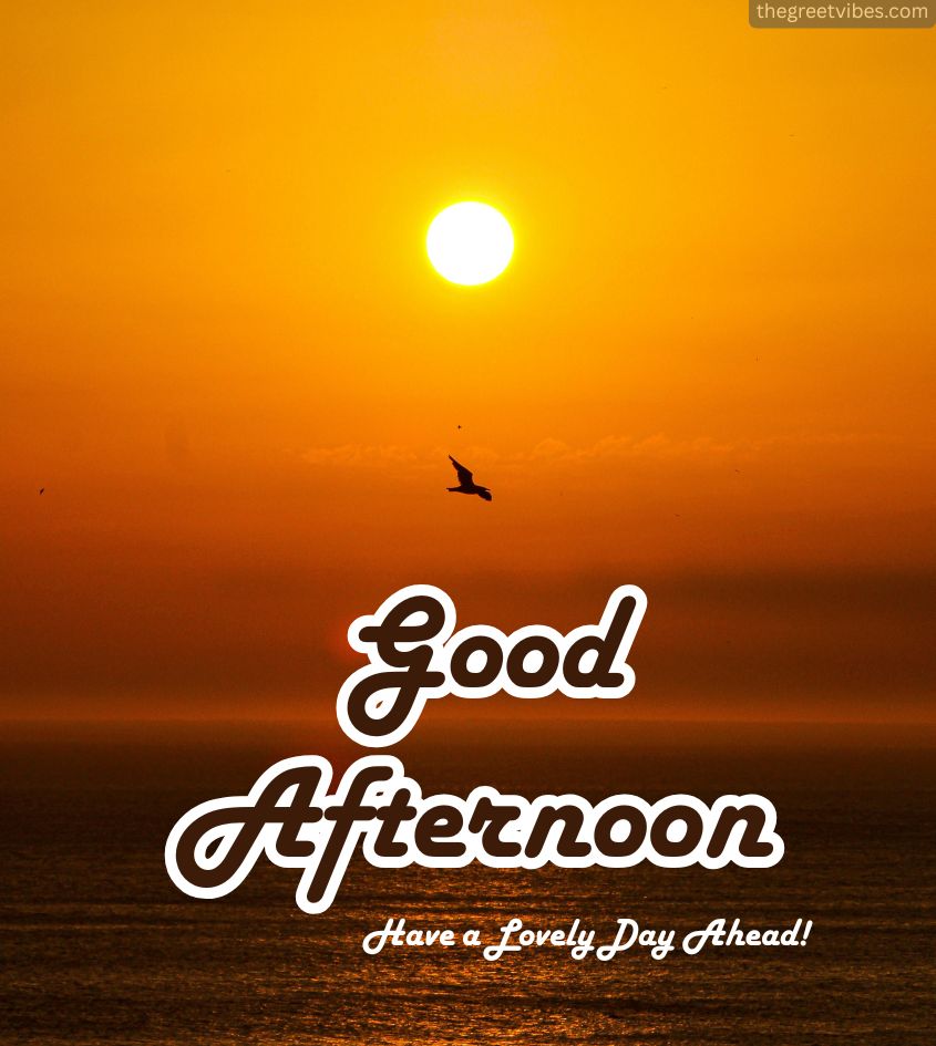 Good afternoon Wishes Pics