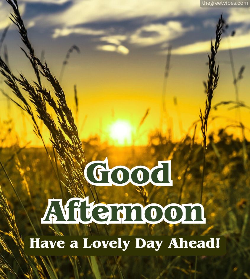 Good afternoon greetings pics