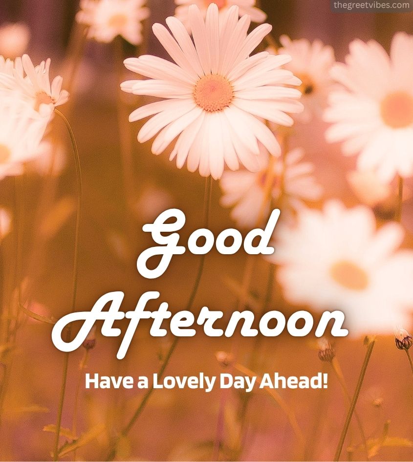 Good Afternoon Pictures