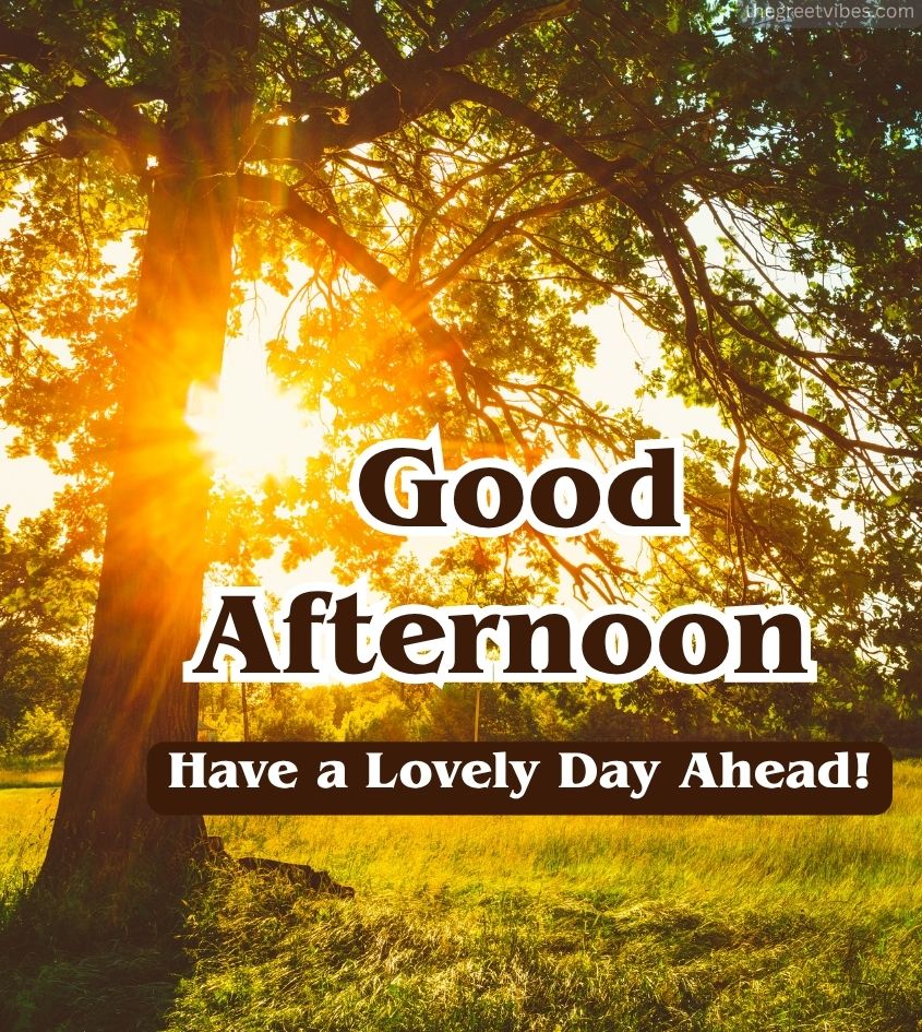 Good afternoon greetings with nature background