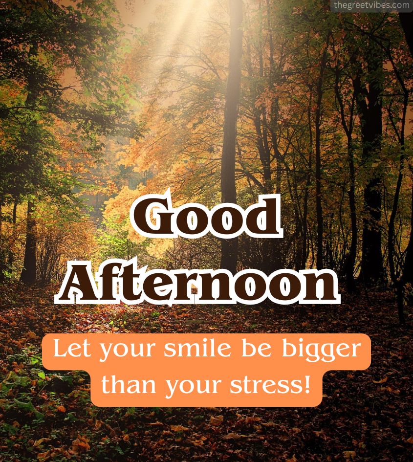 Good Afternoon Status Images