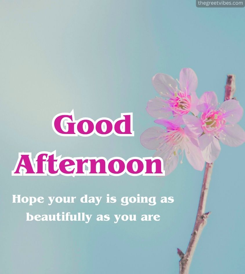 Good Afternoon Flower