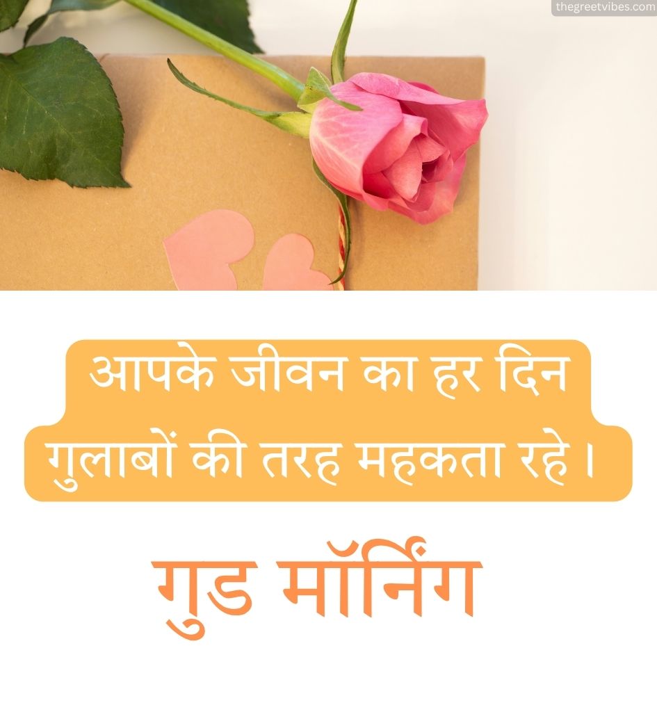 Beautiful Good Morning Rose in Hindi
