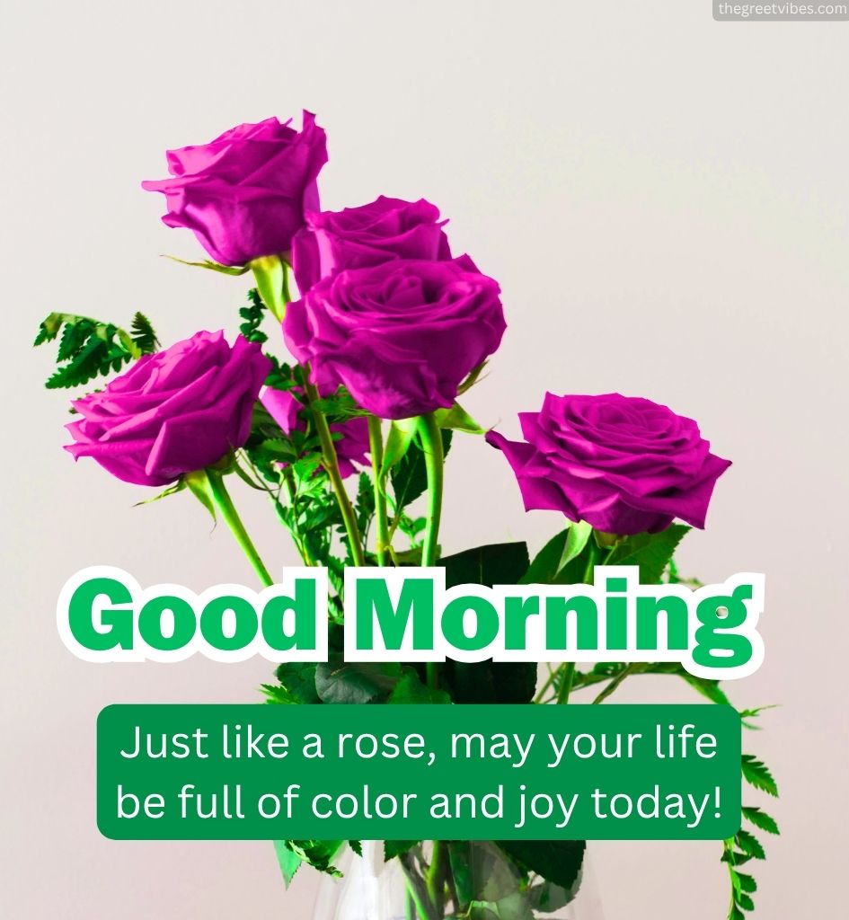 Good Morning Rose Images