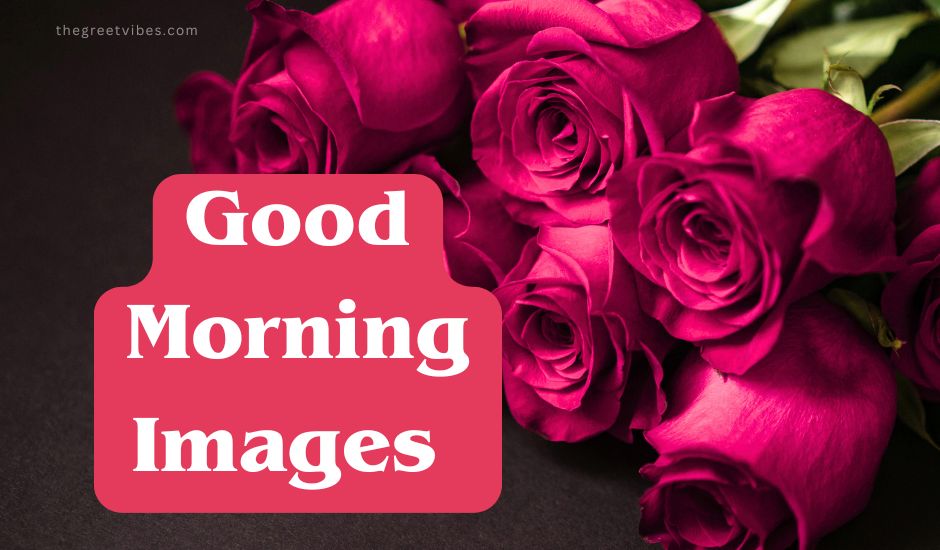 Good Morning Gulab