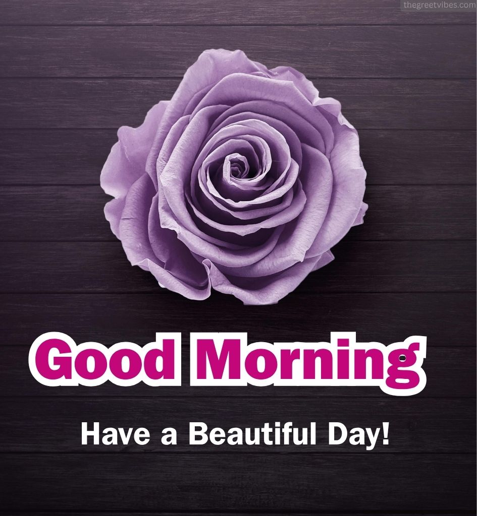 Good Morning Greetings with Rose Images