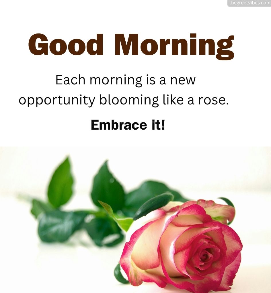 Inspiring Good Morning Quotes With Rose