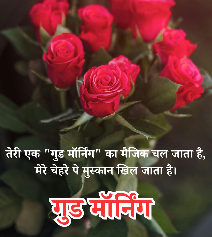 Romantic Good Morning Love Shayari with Rose Flower