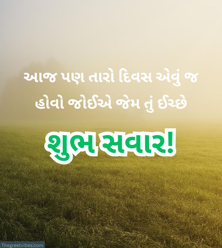 Good Morning Gujarati Suvichar Quotes