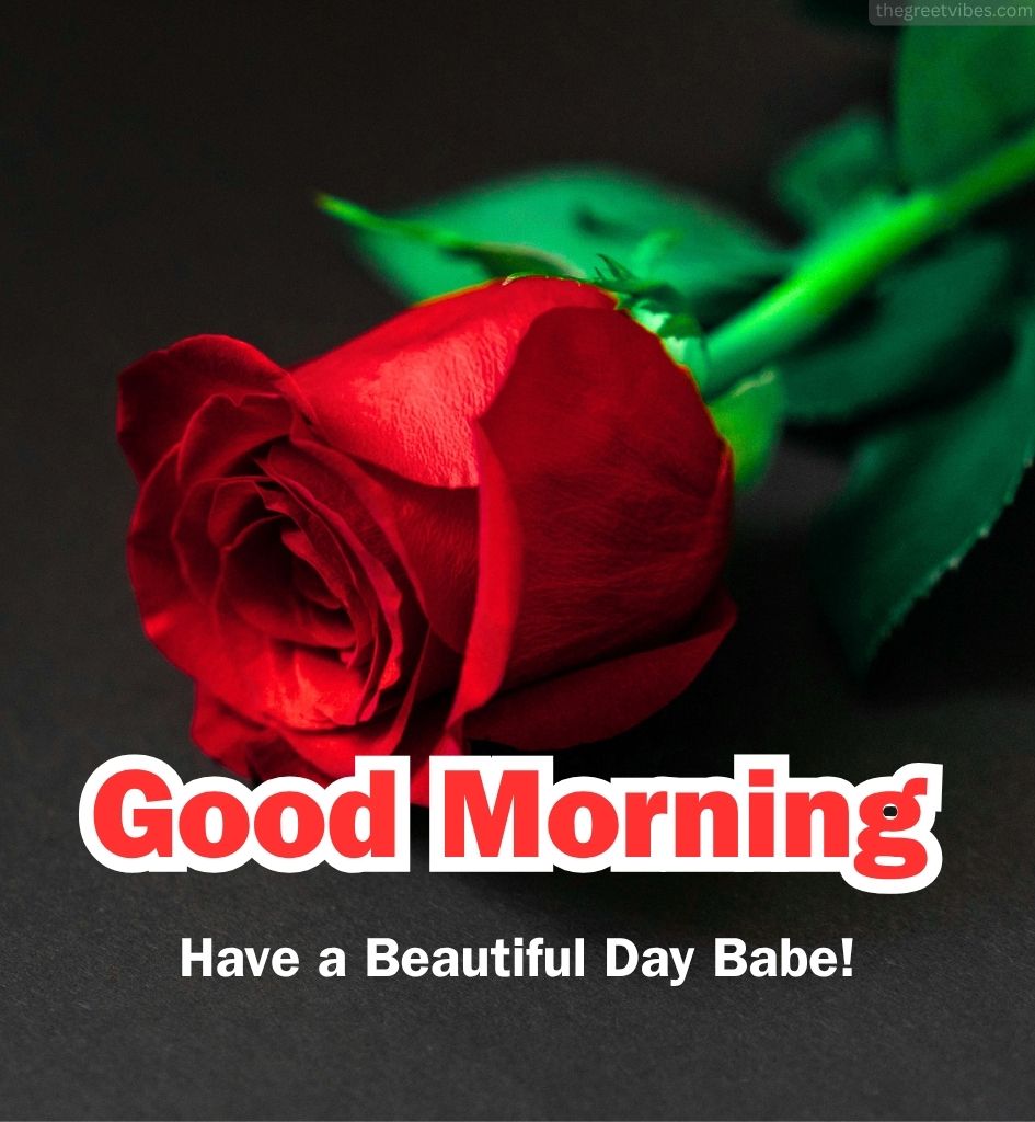 Good Morning Red Rose for Boyfriend