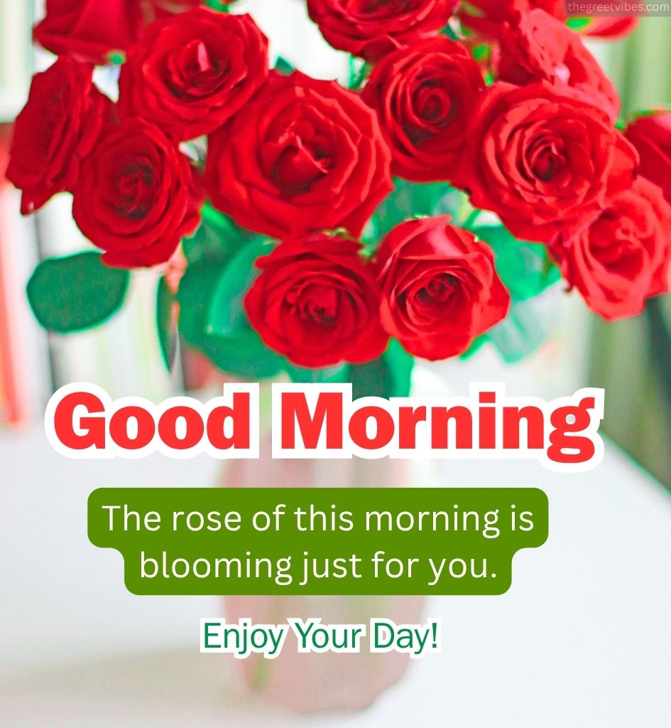 Good Morning Red Rose for Whatsapp Status