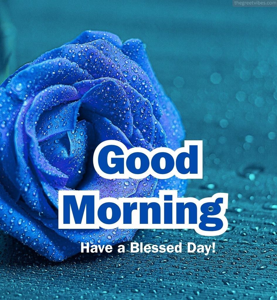 Good Morning Wishes with Blue Rose Flower