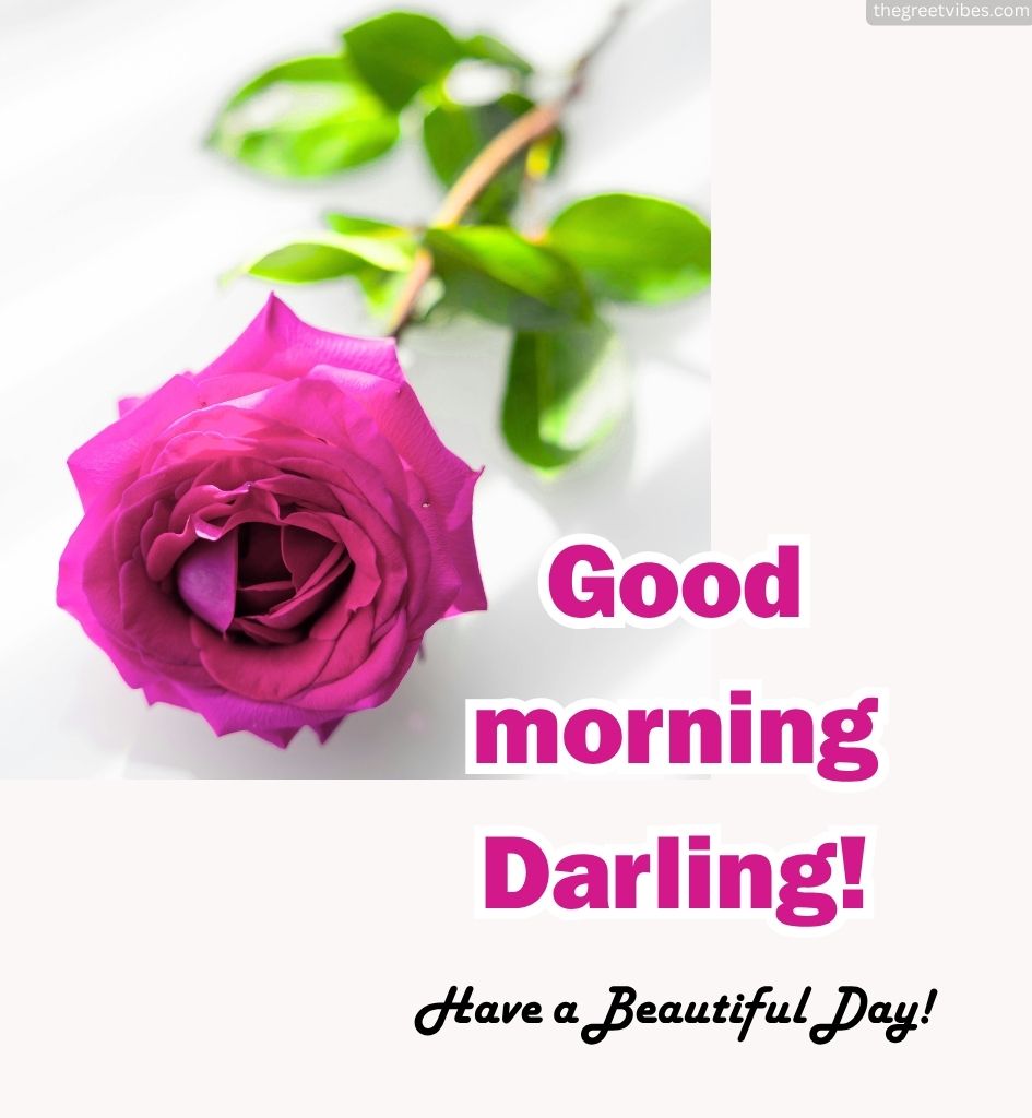 Good Morning Darling Images with Rose