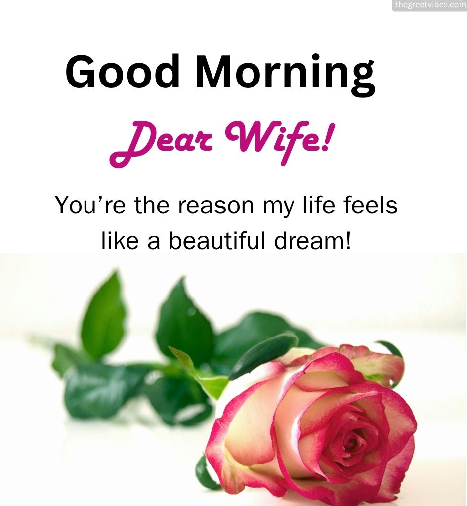 Good Morning Love Images for Wife with Rose Flower