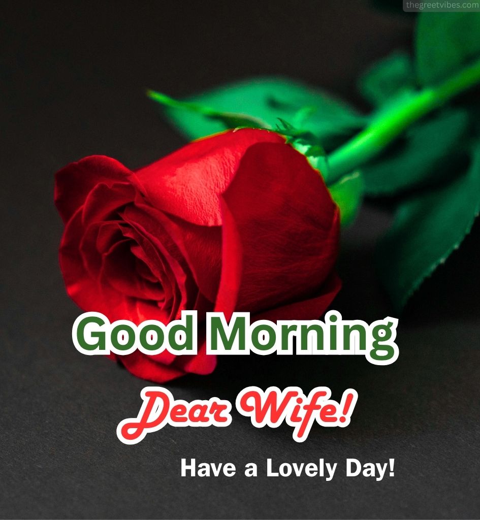 Good Morning for Wife with Red Rose
