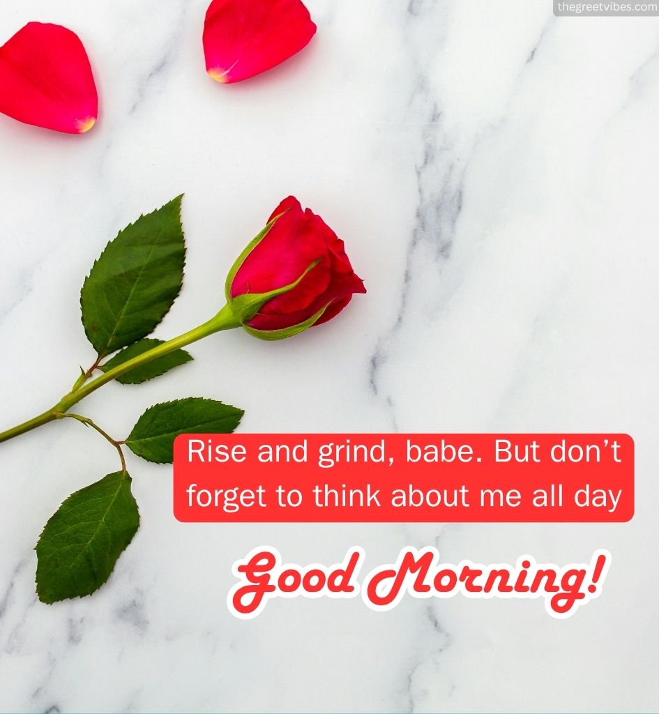 Good Morning Love Greetings for Boyfriend with Rose