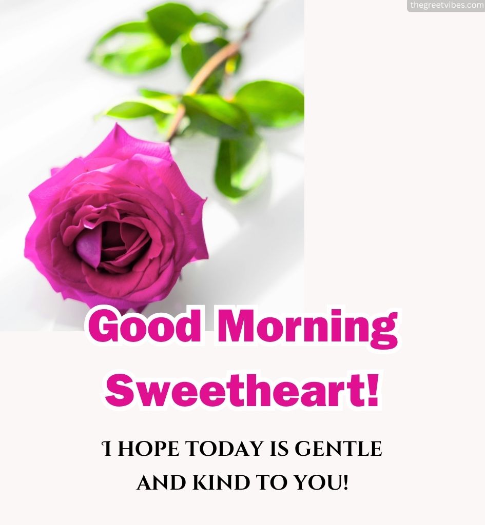 Good Morning Rose for Him