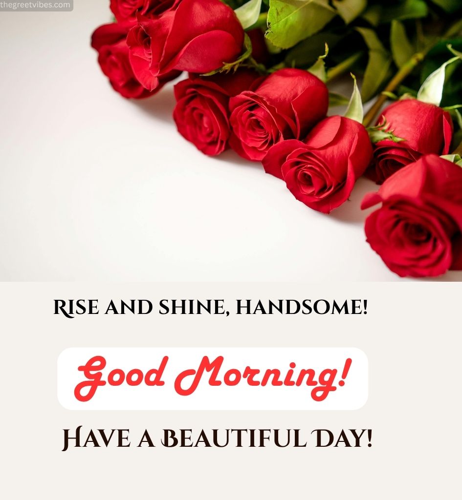 Good Morning wishes for Handsome Boyfriend with Rose