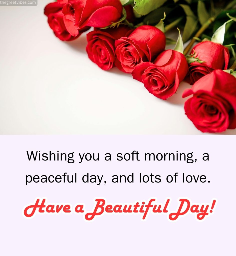 Good Morning Quotes for Wife with Roses Flowers