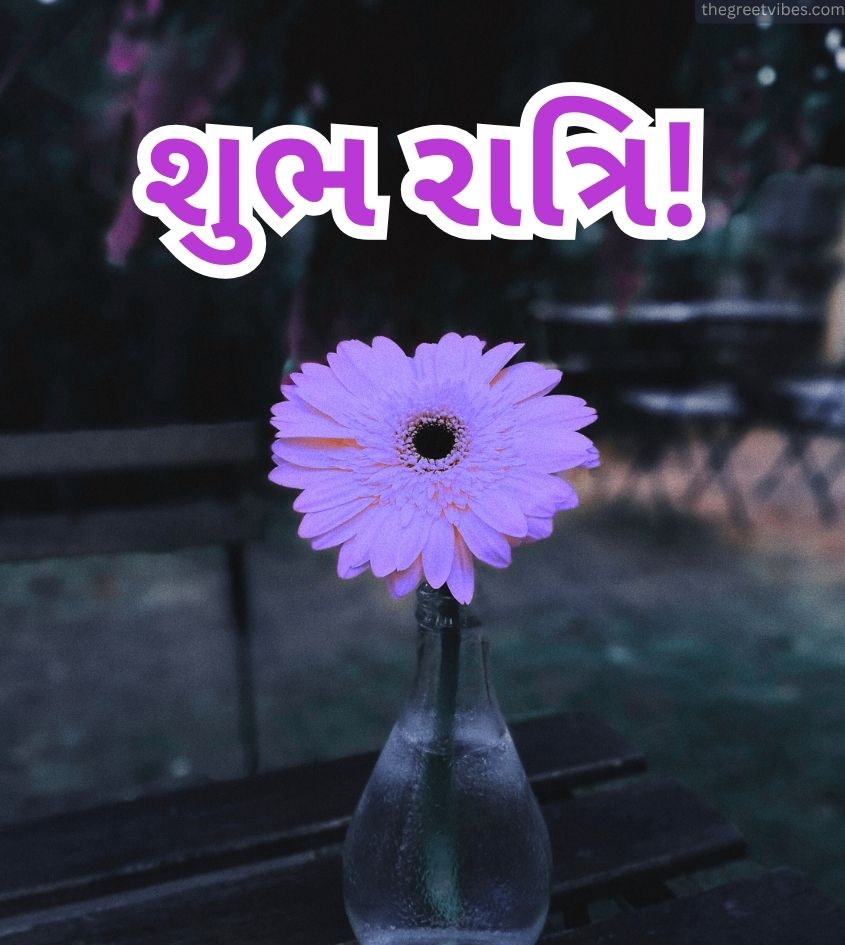Gujarati Good Night Pics