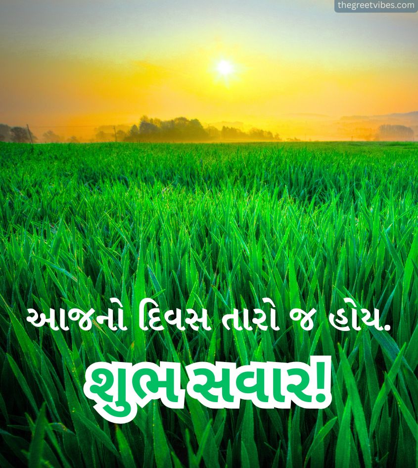 Shubh Savar Sunrise Images in Gujarati Language