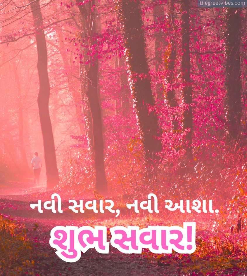 Gujarati Good Morning Images with Nature