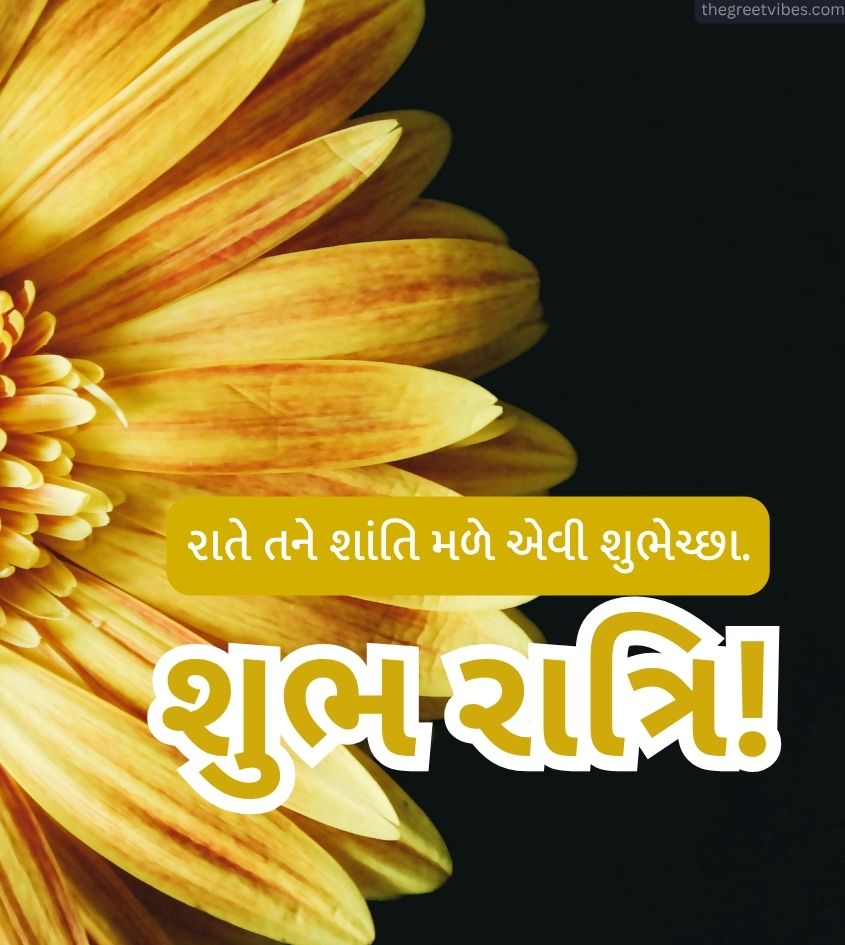 Gujarati Good Night Greet Images with Flower