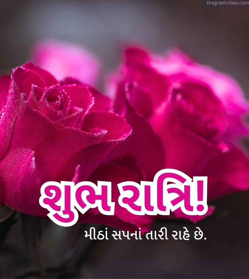 Gujarati Good Night Images with Flowers