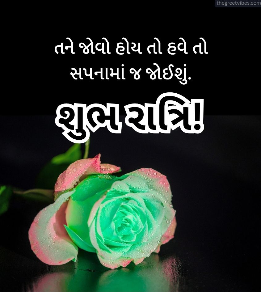 Rose flower Good Night Images in Gujarati for Lover
