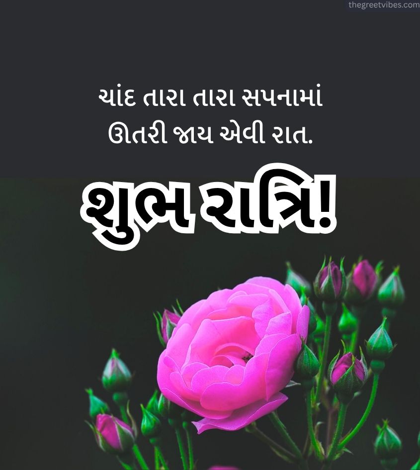 Shubh Ratri gujarati greetings with roses flowers
