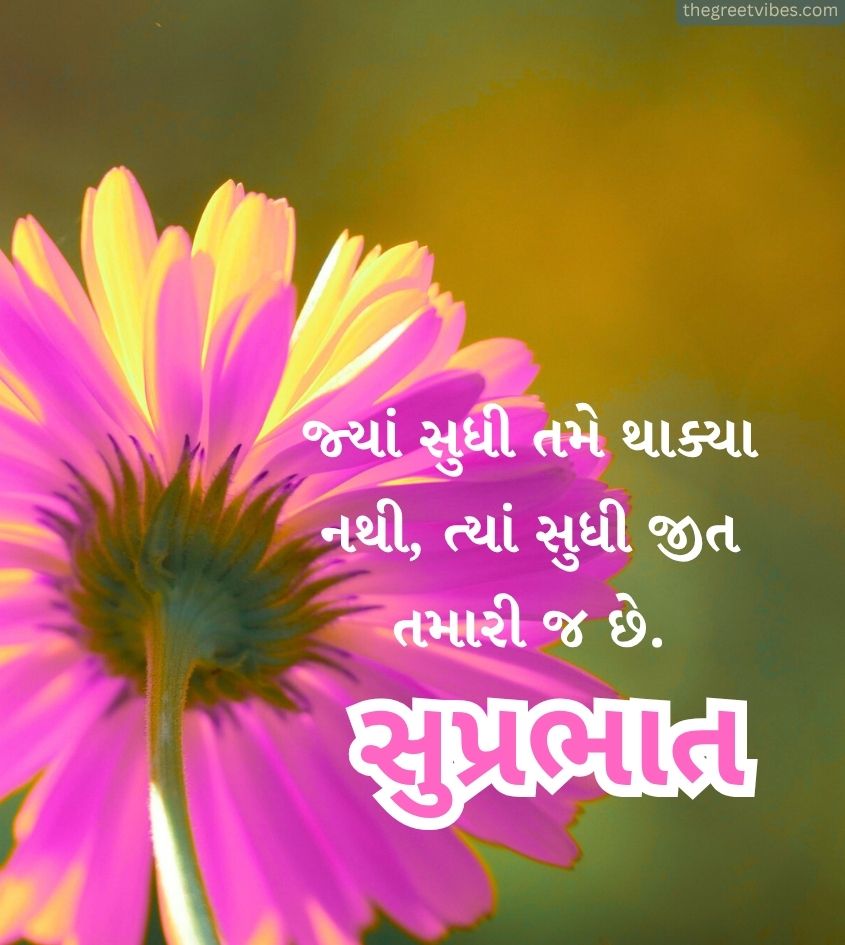 Gujarati Good Morning Pics With Flower