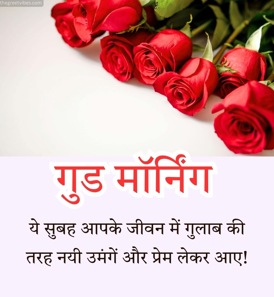 Gulab Flowers With Good Morning Greetings in Hindi