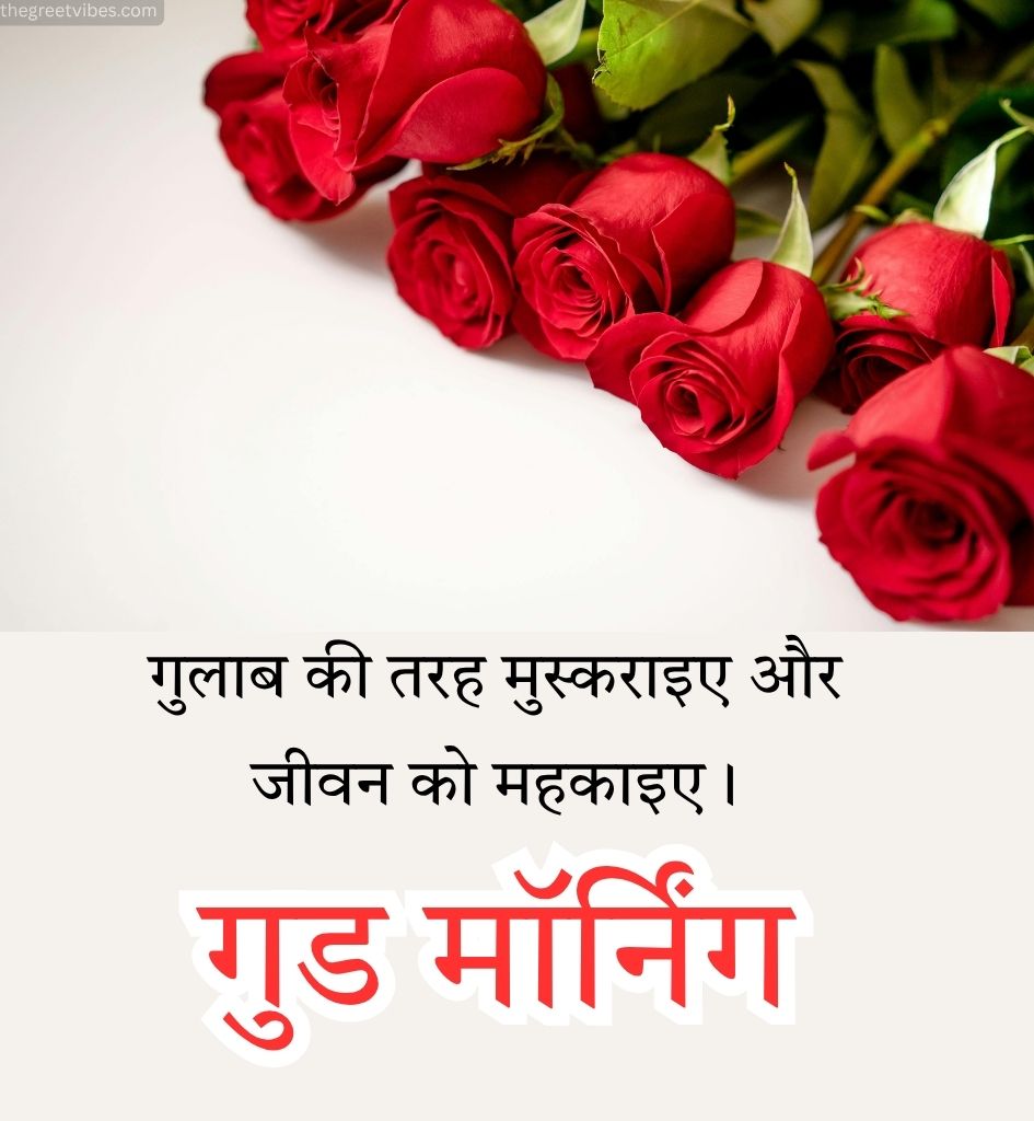 Good Morning Gulab Greetings Images