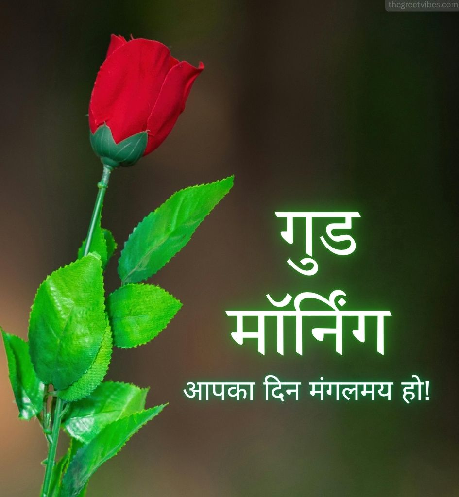 Red Gulab with Good Morning Greetings Images