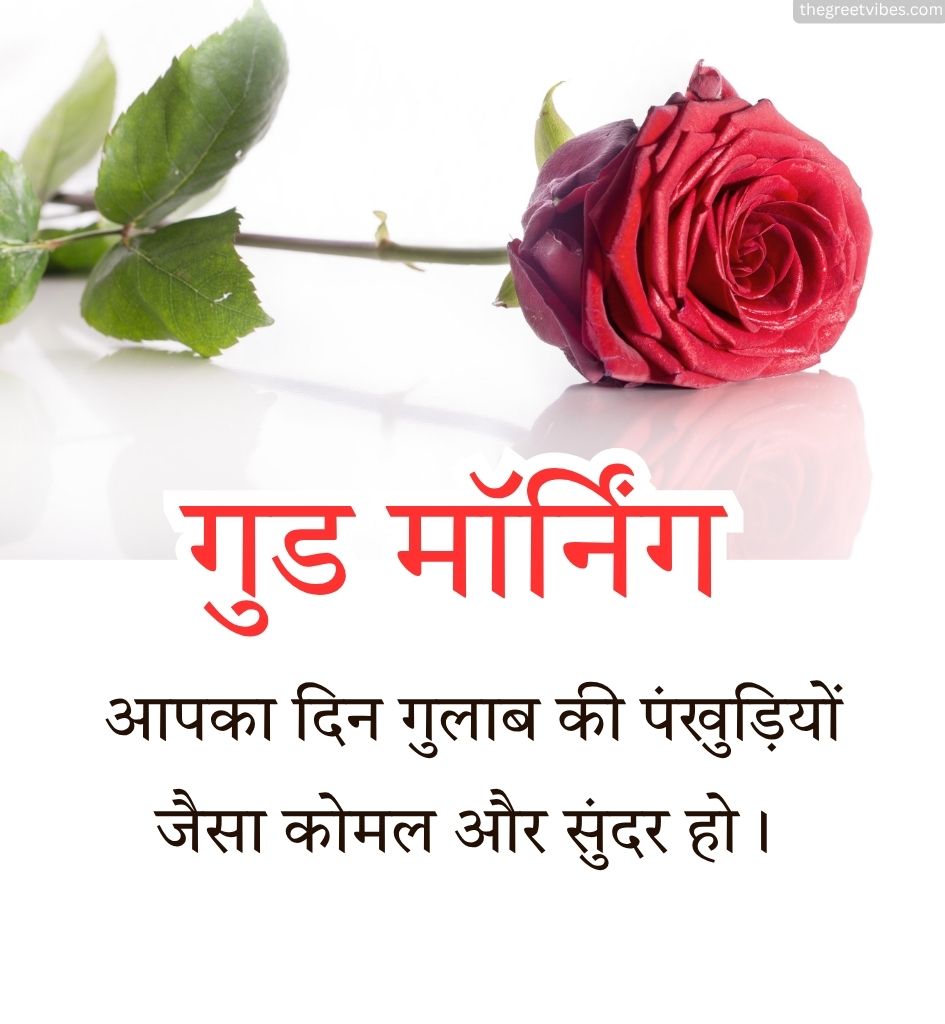 Rose Flower With Good morning Wishes in Hindi