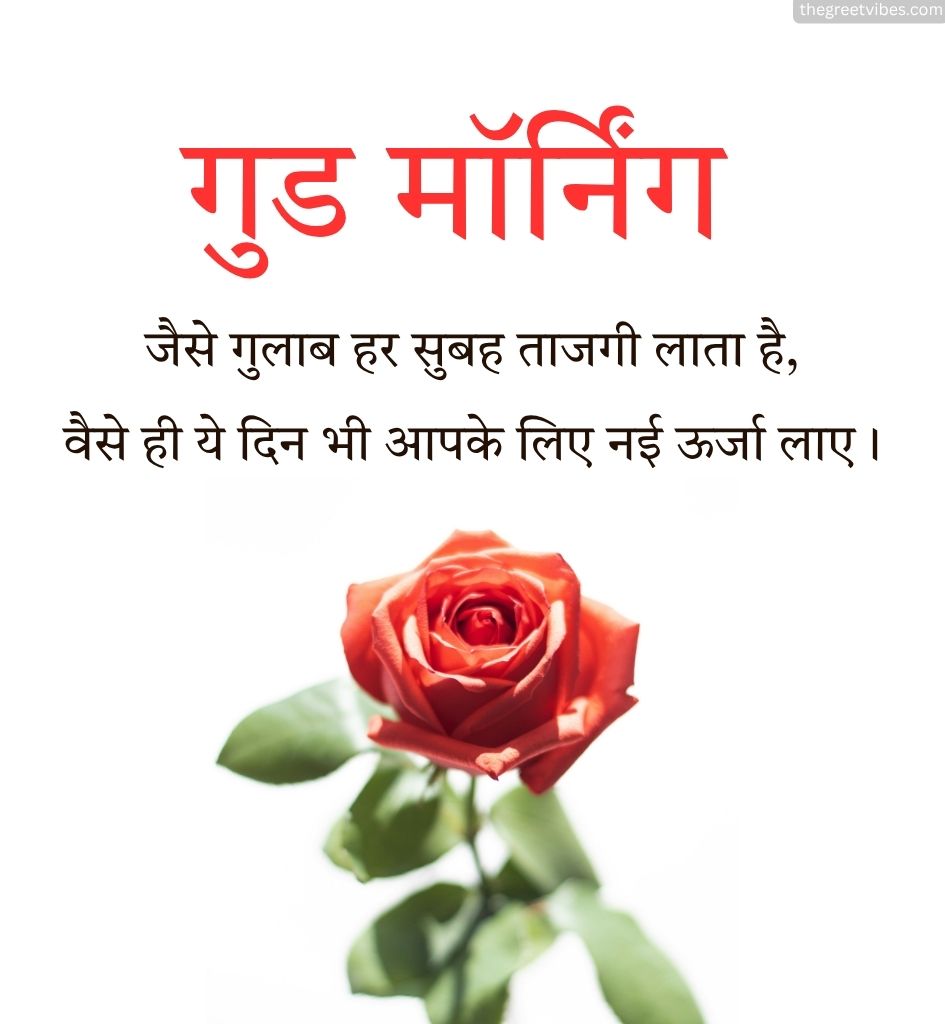 Rose Flower With Good morning Wishes for Lover
