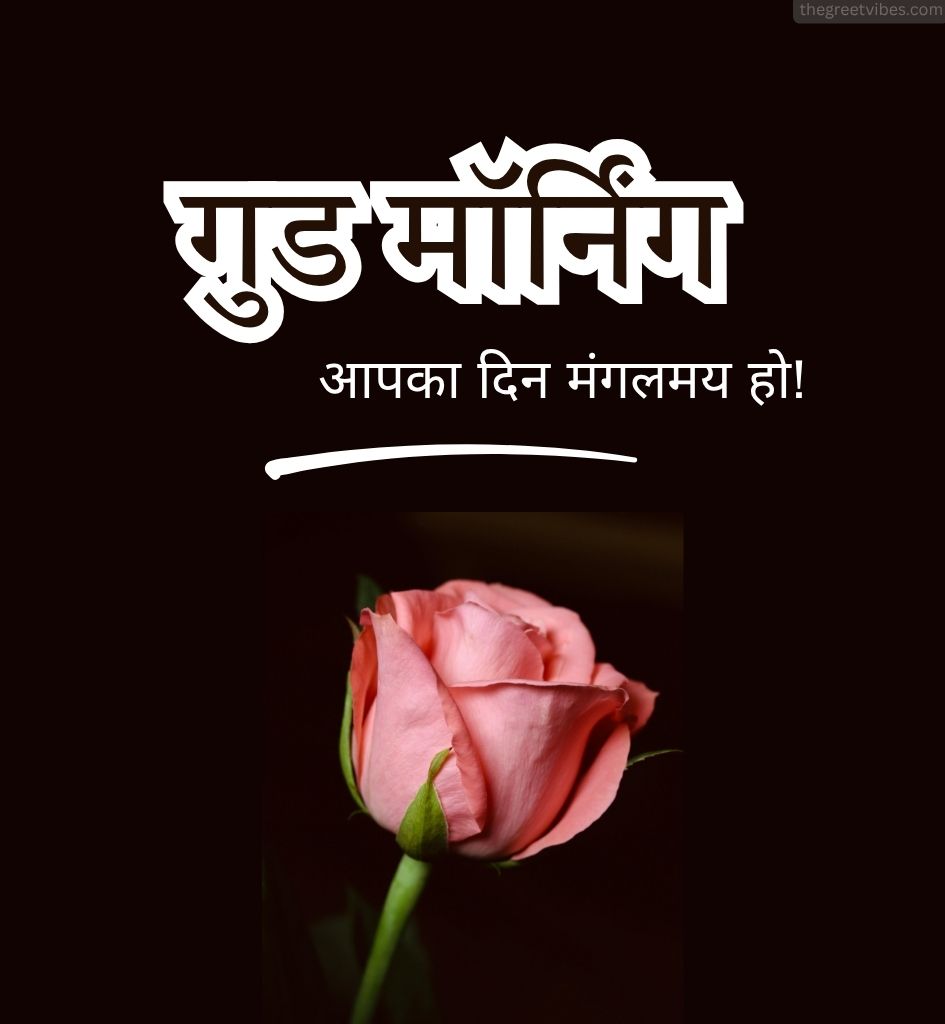 Rose Flower With Good morning Greet in Hindi