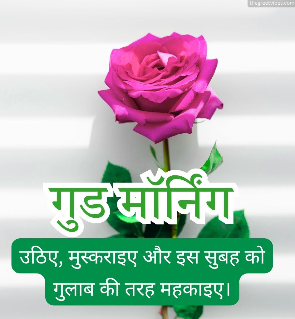 Hindi Good morning Wishes with Roses