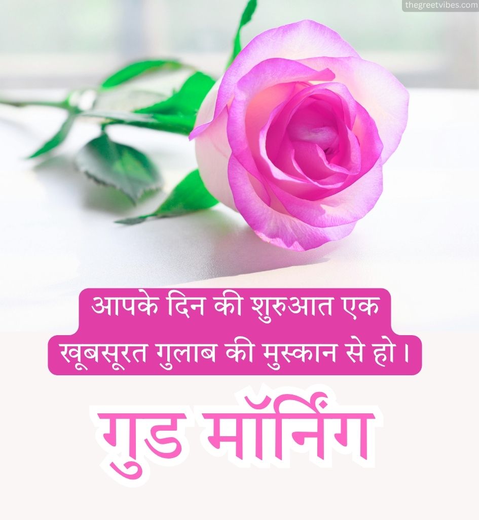 Good morning Gulab Greetings in Hindi for whatsapp