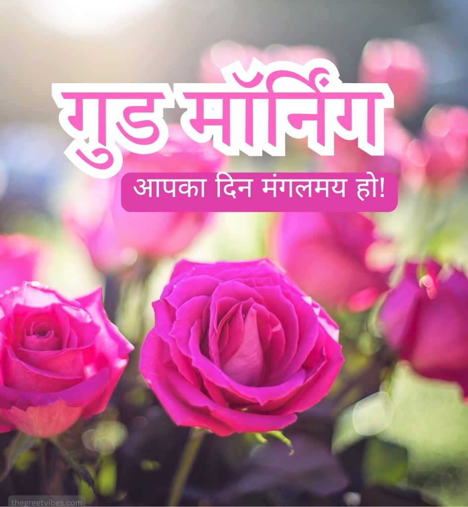 Hindi Good morning Greetings with Pink Gulab Phool