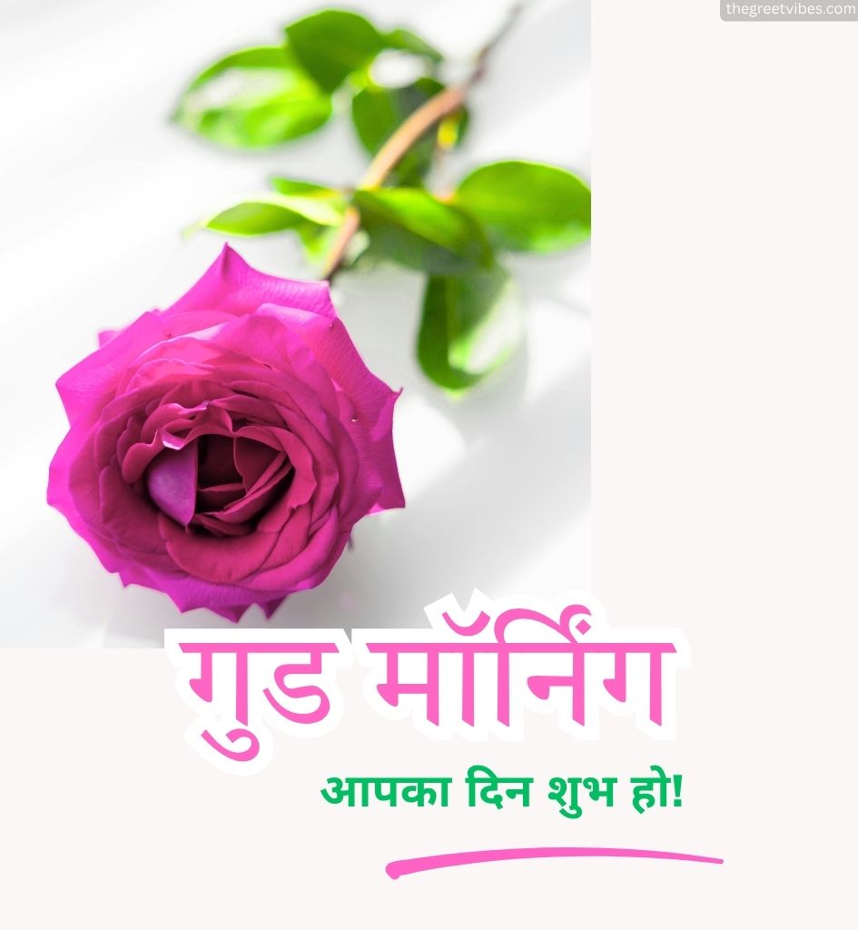 Good morning Gulab Phool Pics
